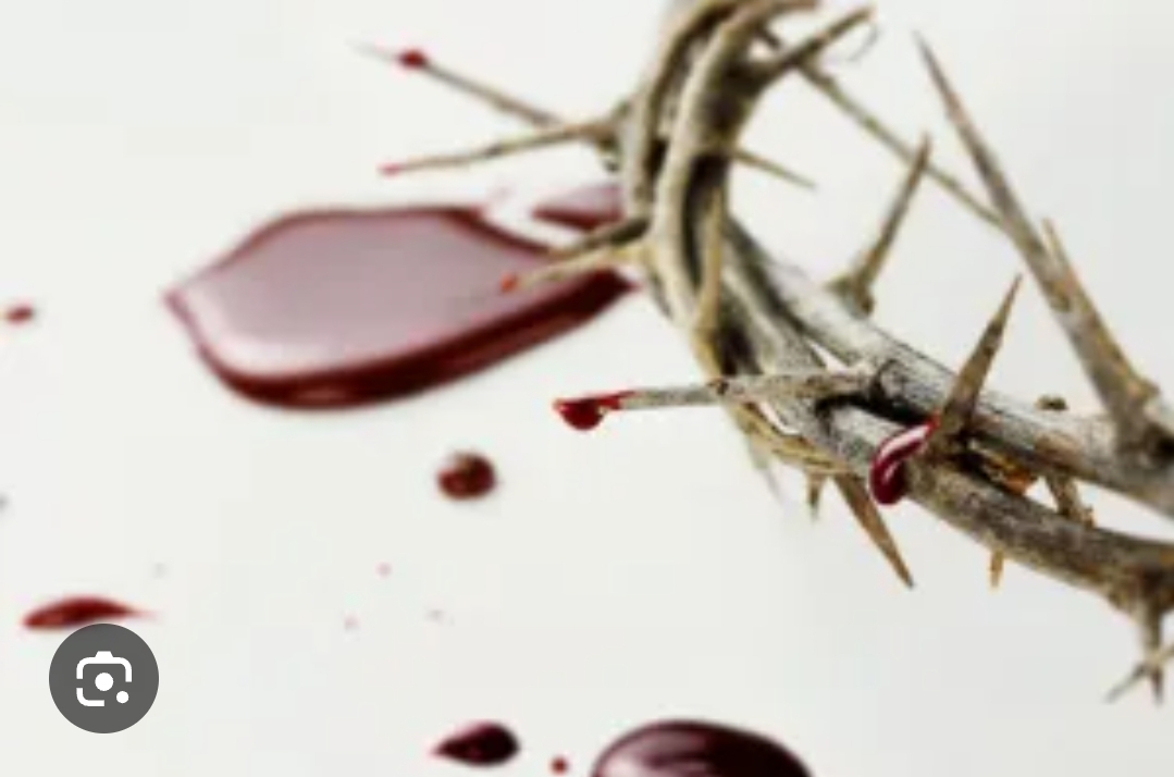 When the blood of Jesus Christ speaks in your life NO one can sand against you.
