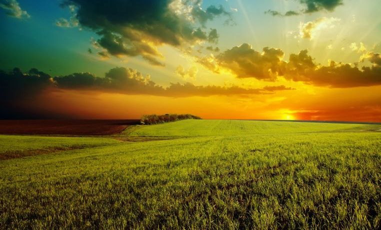 1,000 Years—the Millennium